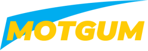 Motgum originais Peças auto