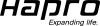 HAPRO Dachkoffer 38885
