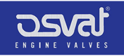 OSVAT Einlaßventil VAUXHALL CORSA OSVAT