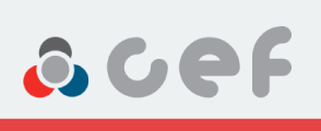 CEF Bremžu šļūtenes katalogs