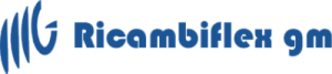 RICAMBIFLEX GM Konepelti luettelo