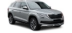 Compre barato peças de carros SKODA KODIAQ