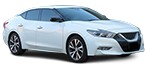 Acheter pièces détachées NISSAN MAXIMA à bas prix