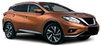 Acheter pièces détachées NISSAN MURANO à bas prix