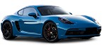 Acheter pièces détachées PORSCHE 718 à bas prix