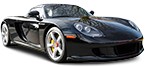 Acheter pièces détachées PORSCHE CARRERA GT à bas prix