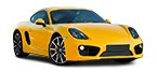 Acheter pièces détachées PORSCHE CAYMAN à bas prix