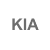 KIA peças