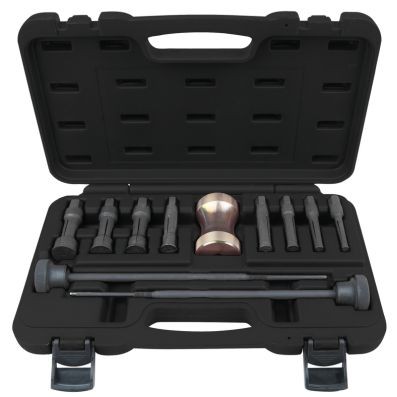 KS TOOLS Kit de extractores interiores - 660.0009