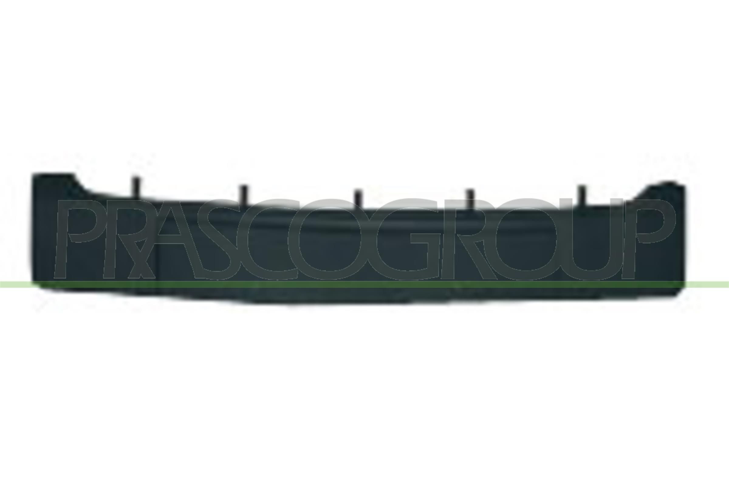 PRASCO Suporte de matrícula para automóveis - RN3221539
