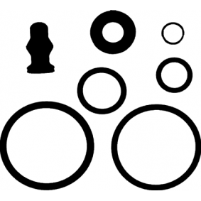 Reparatieset, pomp-verstuiver-eenheid