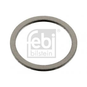 Dichtring, Steuerkettenspanner