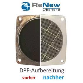 DPF-Reiniger