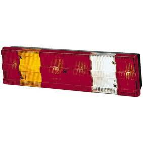 Lichtscheibe, Kennzeichenleuchte