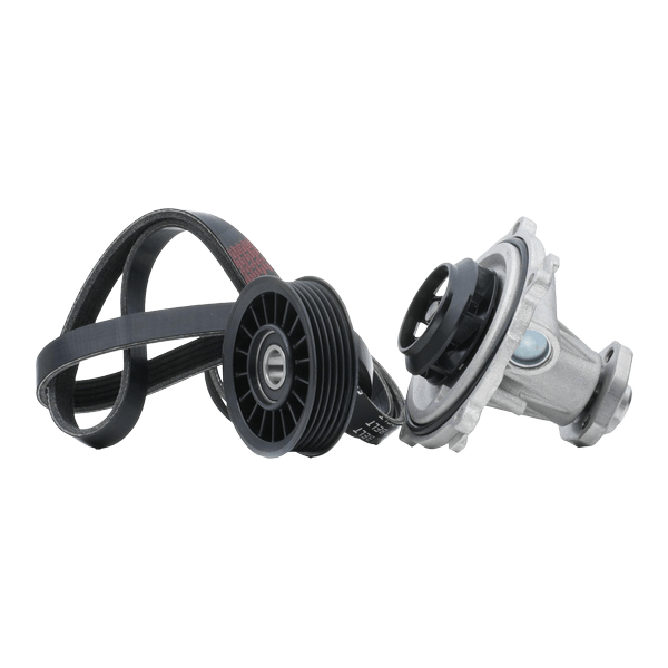 SACHS Kit Frizione 3000 836 101 Per Opel Corsa D (2006-2015) E Chevrolet Aveo: Spingidisco, Disco E Cuscinetto