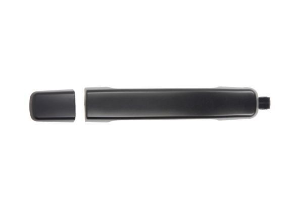 Deurhendel BLIC 6010-16-038402PP BLIC 6010-16-038402PP Deurgrepen NISSAN PATHFINDER 2002