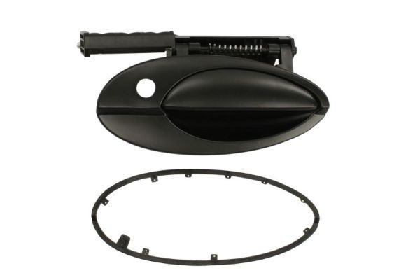 BLIC Dørgreb 6010-21-020402P Håndtag til dør CITROËN BLIC 6010-21-020402P