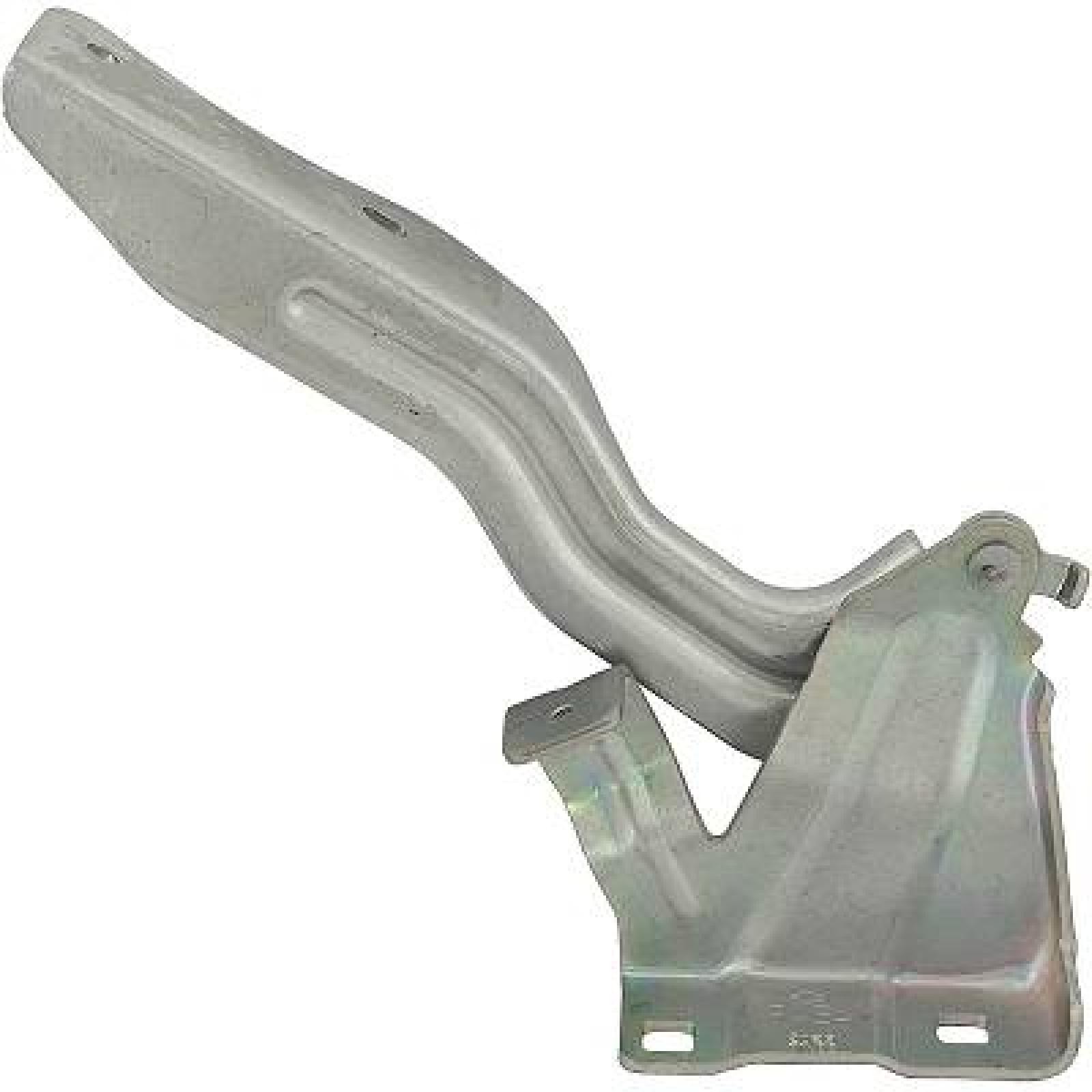 DIEDERICHS Scharnier, motorkap 6046819 6046819 Motorkap en onderdelen NISSAN SKYLINE DIEDERICHS