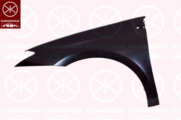 KLOKKERHOLM Hjulskjerm 6056312 Skvettskjerm KLOKKERHOLM Renault 21 6056312