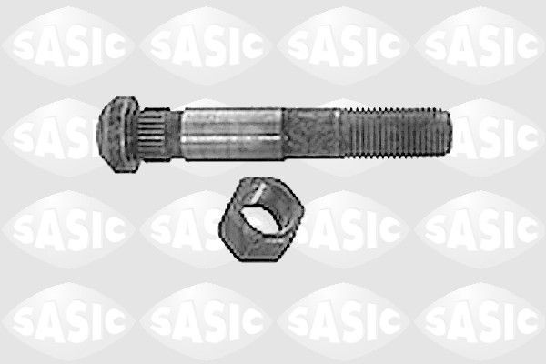 SASIC Stempelstangskrue 6070160 Bolt / mutter stempelstangskrue SASIC VITARA 6070160 billige