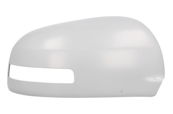 BLIC Gehäuse, Außenspiegel 6103-15-2001864P Mitsubishi CS_W Außenspiegelabdeckung 6103-15-2001864P BLIC
