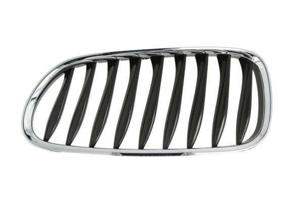 BLIC Radiator grill 6502-07-0089991P BLIC 6502-07-0089991P Sportgrille BMW F12 prijs