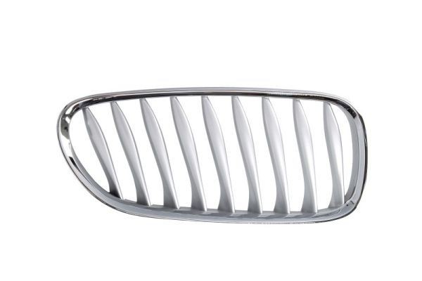Radiator grill BLIC 6502-07-0089994P BLIC 6502-07-0089994P: Grill BMW Z4 2016