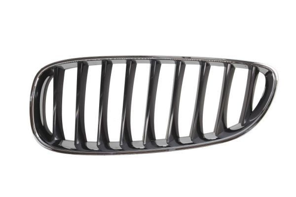 Jäähdyttimen säleikkö BLIC 6502-07-0089995P BLIC 6502-07-0089995P BMW Z4 2011 Jäähdyttimen säleikkö