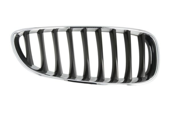 Radiator grill BLIC 6502-07-0089996P BLIC 6502-07-0089996P Radiator grill BMW Z4 2016