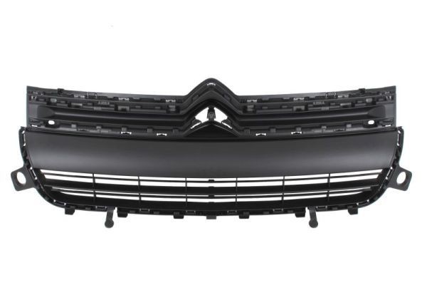 BLIC Grelha de radiador 6502-07-0554990Q BLIC 6502-07-0554990Q Grelha de radiador CITROЁN Berlingo / Berlingo First I Van (M) Electric 38 cv 2005