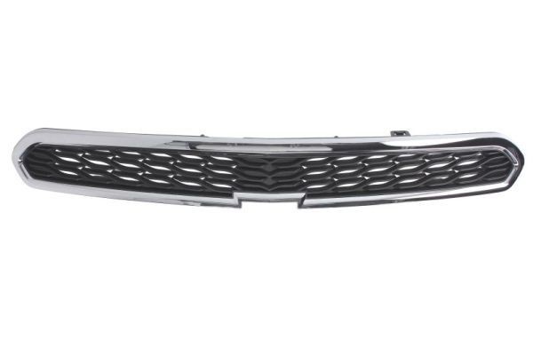 BLIC Radiatorgitter 6502-07-1120992P BLIC 6502-07-1120992P Radiatorgitter CHEVROLET Kalos Hatchback 1.4 83 hk 2005