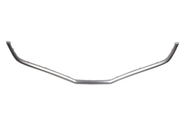 BLIC Modanatura decorativa / protettiva, Griglia radiatore 6502-07-2901994P BLIC 6502-07-2901994P Griglia Honda Accord 4 prezzo