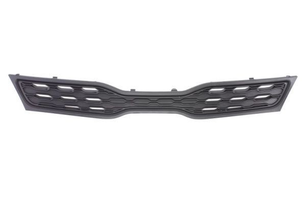 BLIC Kühlergrill 6502-07-3279991P BLIC 6502-07-3279991P FORD C-MAX Kühlergrill Preis