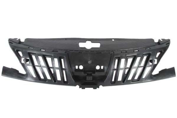 BLIC Grelha de radiador 6502-07-5514991P BLIC 6502-07-5514991P Grelha de radiador PEUGEOT 307 Carrinha (3E) 1.4 HDi 68 cv 2003