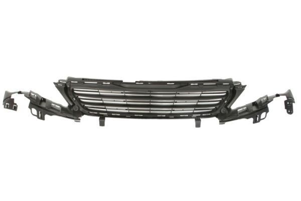BLIC Griglia radiatore 6502-07-5519992P 6502-07-5519992P Griglia radiatore BLIC PEUGEOT 1007 costo