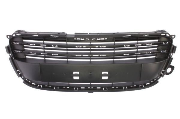 BLIC Griglia radiatore 6502-07-5527990Q BLIC 6502-07-5527990Q Griglia radiatore PEUGEOT 405 II Sedan (4B) 1.9 D 64 CV 1995