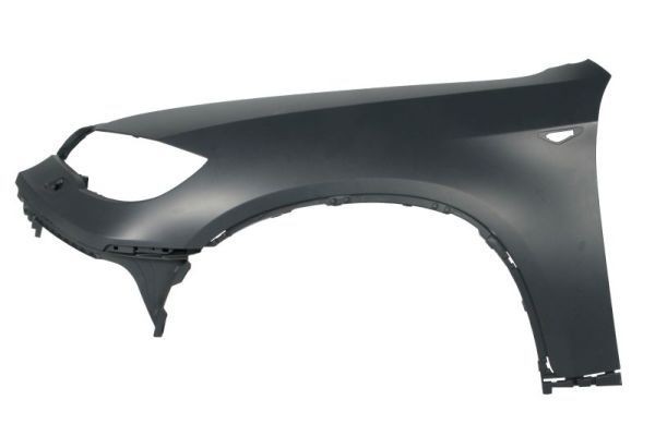 Parafango BLIC 6504-04-0099313P BLIC 6504-04-0099313P Parafango BMW X6 2011