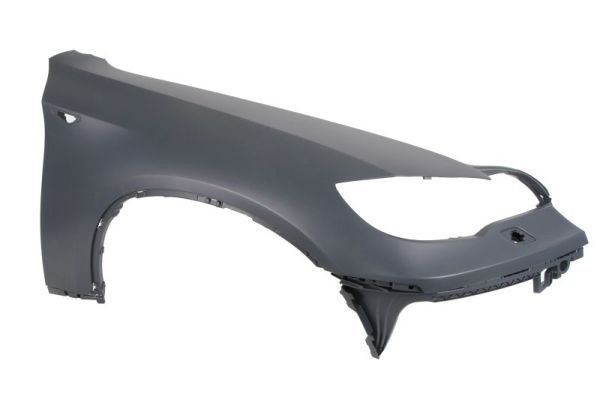 Poritiib BLIC 6504-04-0099314P BLIC 6504-04-0099314P Esiporitiib ja tagaporitiib BMW X6 2020