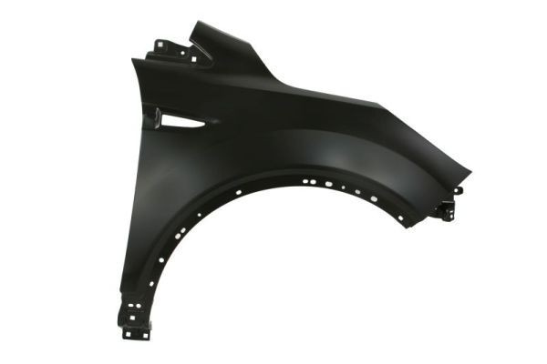 Guarda-lamas BLIC 6504-04-2579312P BLIC 6504-04-2579312P: Guarda-lamas Ford B-MAX 2013