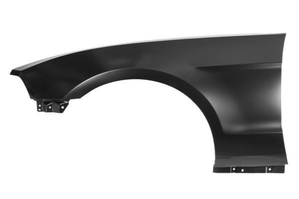 BLIC Lokasuoja 6504-04-2585315P BLIC 6504-04-2585315P Ford Mustang MK5 lokasuoja vaihto hinta