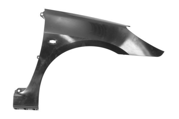 Spatbord BLIC 6504-04-5514314Q BLIC 6504-04-5514314Q Voorspatbord en achterspatbord PEUGEOT 307 2011