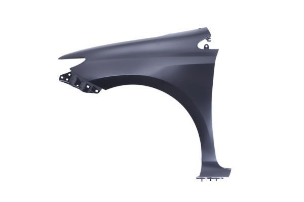 BLIC Lokasuoja 6504-04-8118315P Camry VII Sedan (_V5_) lokasuoja taka/etu + vasen/oikea BLIC 6504-04-8118315P