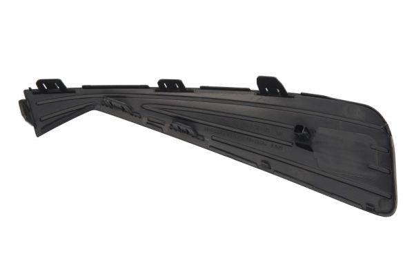 BLIC Tröskelplåt 6505-06-9040012P BLIC 6505-06-9040012P Tröskel RENAULT LAGUNA