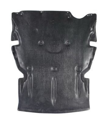 Cobertura do motor BLIC 6601-02-0063860P BLIC 6601-02-0063860P: Cobertura do motor BMW X5 2021