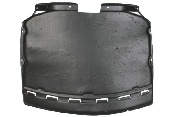 BLIC Kryt motora 6601-02-0076860P BLIC 6601-02-0076860P Kryt motora BMW E86 cena