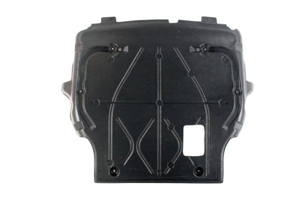 BLIC Motorabdeckung 6601-02-9568860P 6601-02-9568860P BLIC Passat B7 Kasten / Kombi (365) Motorabdeckung Preis