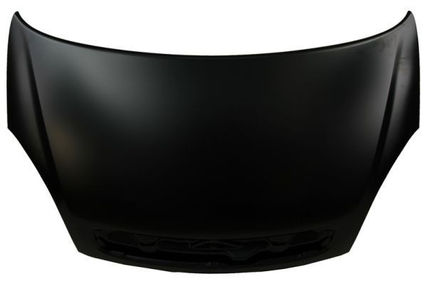 BLIC Capô 6803-00-0536281Q 6803-00-0536281Q Capô BLIC CITROЁN C25