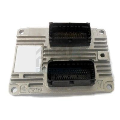 MEAT & DORIA Styreenhed, motormanagement 70093 Styreenhed, motormanagement MEAT & DORIA Nissan SUNNY 70093