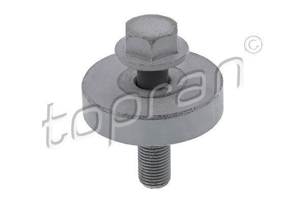 TOPRAN Rihmarattakruvi 701 616 TOPRAN 701 616 Rihmarattakruvi Renault Megane 2 Cabrio originaal hind