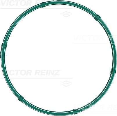 REINZ Tihend, sisselaskekollektori korpus 71-12275-00 Sisselaskekollektori tihend REINZ Ford USA EXPLORER 71-12275-00
